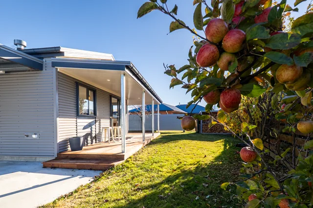 Rear King Studio exterior and garden tree
